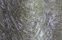 Barwick fibreglass roof work